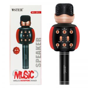 میکروفون اسپیکردار مدل WSTER WS-2911