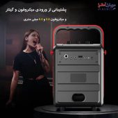 اسپیکر بلوتوثی دبلیو کینگ مدل T2S