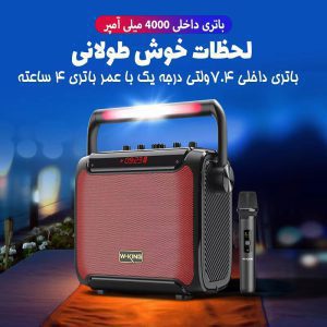 اسپکر بلوتوثی دبلیوکینگ مدل W-KING T3